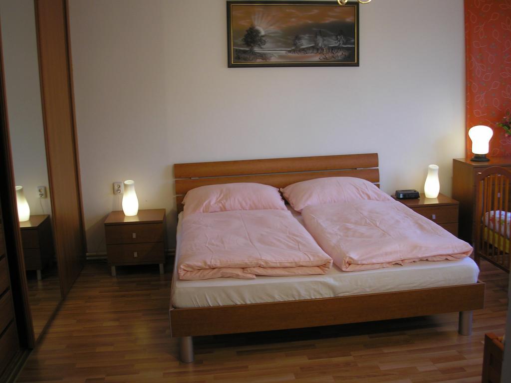 Vacation Apartment Up To 10 براتسيلافا الغرفة الصورة